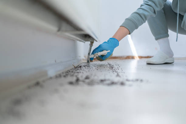 Best Pest Control for Homes  in USA